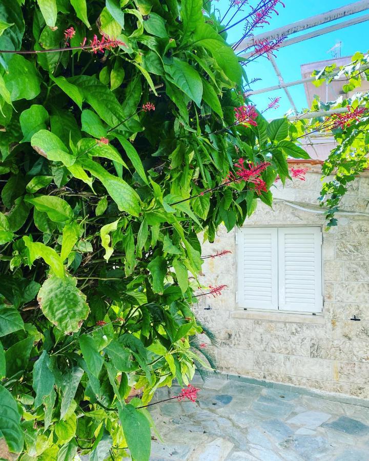 Little Cottage Αθήνα Εξωτερικό φωτογραφία