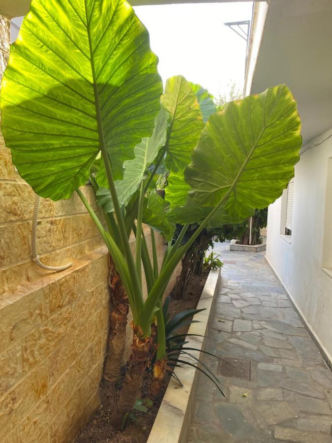 Little Cottage Αθήνα Εξωτερικό φωτογραφία